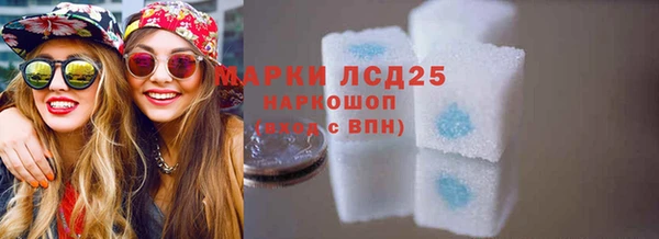 стафф Аркадак