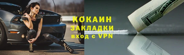 стафф Аркадак