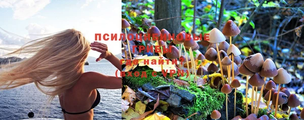 прущий лед Армянск