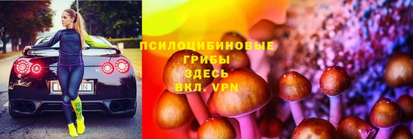 прущий лед Армянск